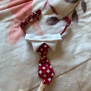 Dog Christmas Tie Collar